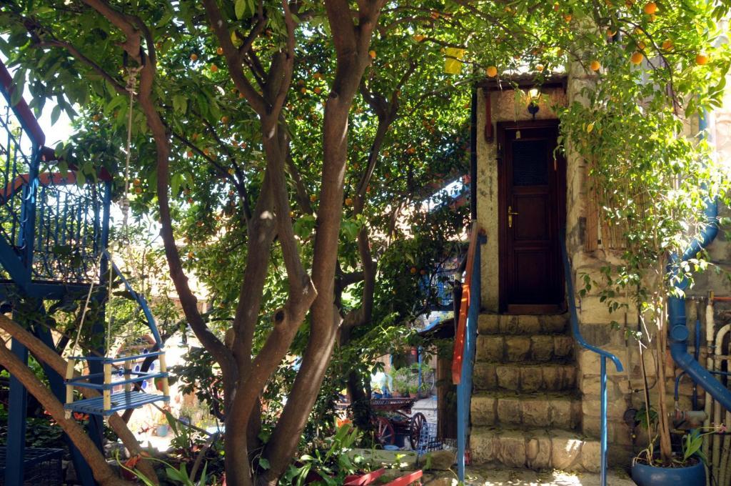 Villa Tehila - By V Club Chain Rosh Pinna Exterior photo