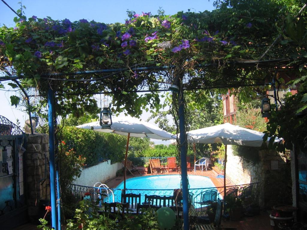 Villa Tehila - By V Club Chain Rosh Pinna Exterior photo